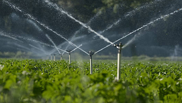 Irrigation